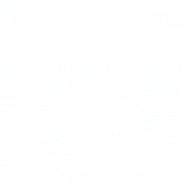 BEST WISHES ICE CREAM ECLAIRS 700g