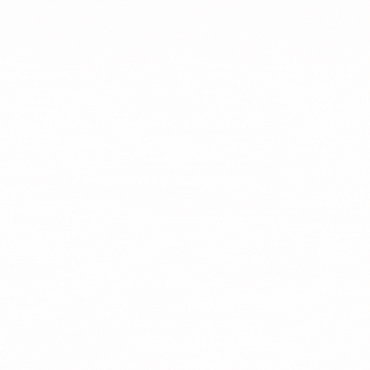 SWISS PREMIUM TRUFFLES BUTTER SCOTCH 2 KG