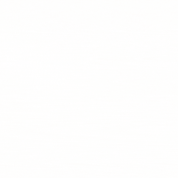 SWISS PREMIUM TRUFFLES -MANGO FLAVOUR 2kg