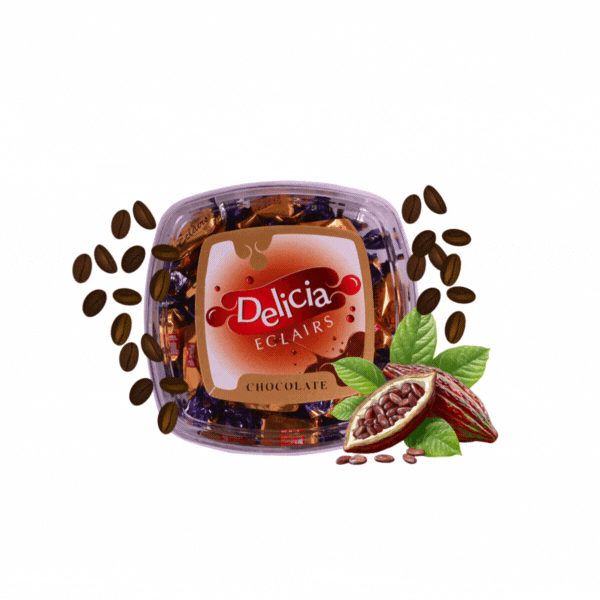 DELICIA CHOCOLATE ECLAIRS 250g