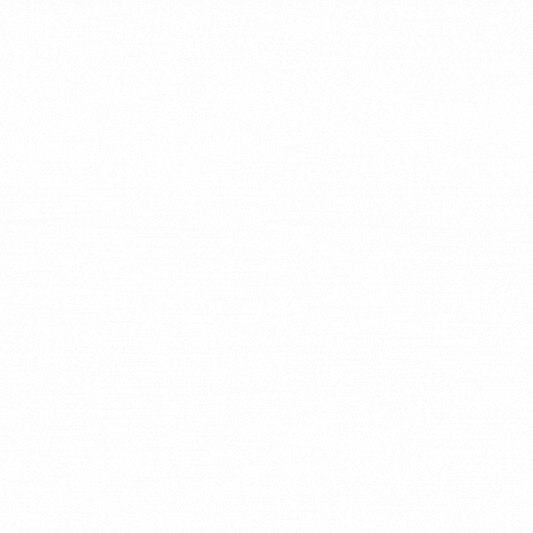 SWISS PREMIUM TRUFFLES -ORANGE FLAVOUR  1 kg