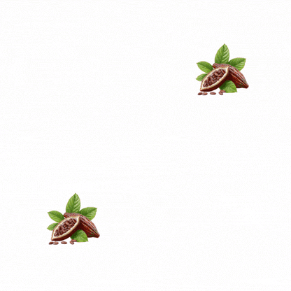 BEST WISHES CHOCOLATE ECLAIRS 700g