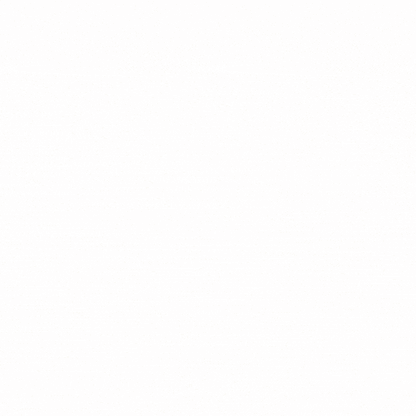 SWISS PREMIUM TRUFFLES -ORANGE FLAVOUR 2kg