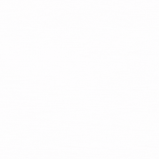 SWISS PREMIUM TRUFFLES - LITCHI 350g