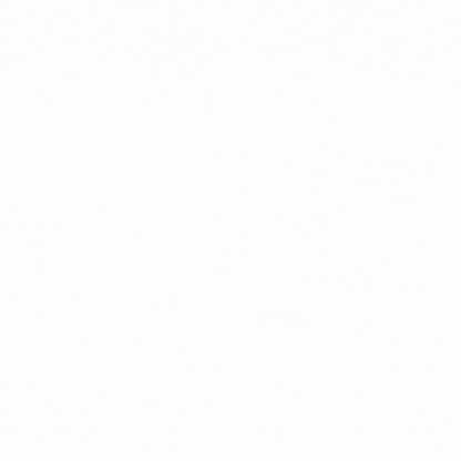 MAPLE ROCH 12 CAVITY RECTANGLE CHOCOLATE 168g