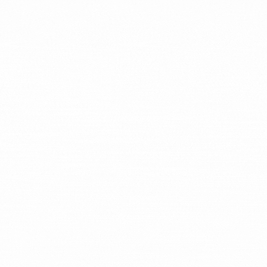 MAPLE ROCH 12 CAVITY RECTANGLE CHOCOLATE 168g