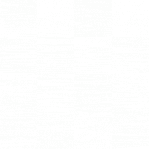 SWISS PREMIUM TRUFFLES -CREAMY VANILA FLAVOUR 2kg