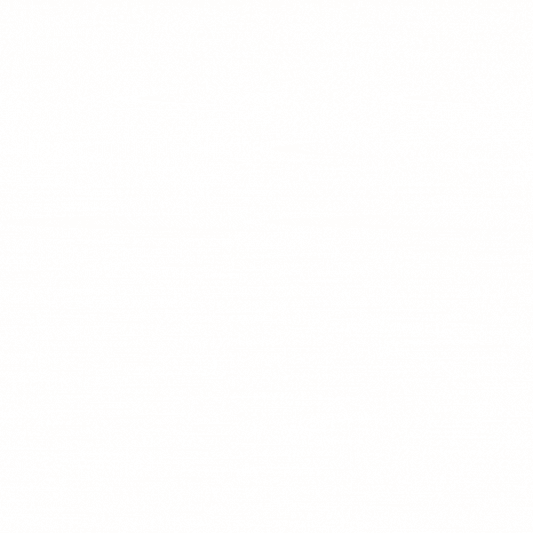 SWISS PREMIUM TRUFFLES -ORANGE FLAVOUR 2kg