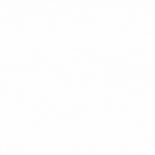 DRY FRUITS AND NUTS WITH HONEY 250g